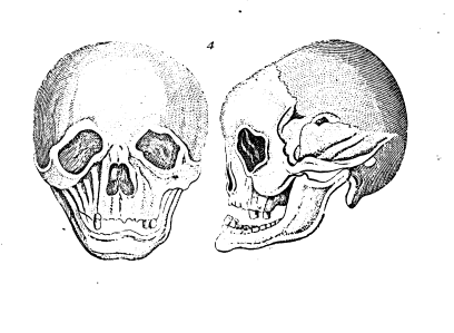image%20%283%29.png