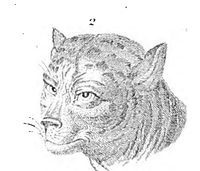image%20%281%29.png